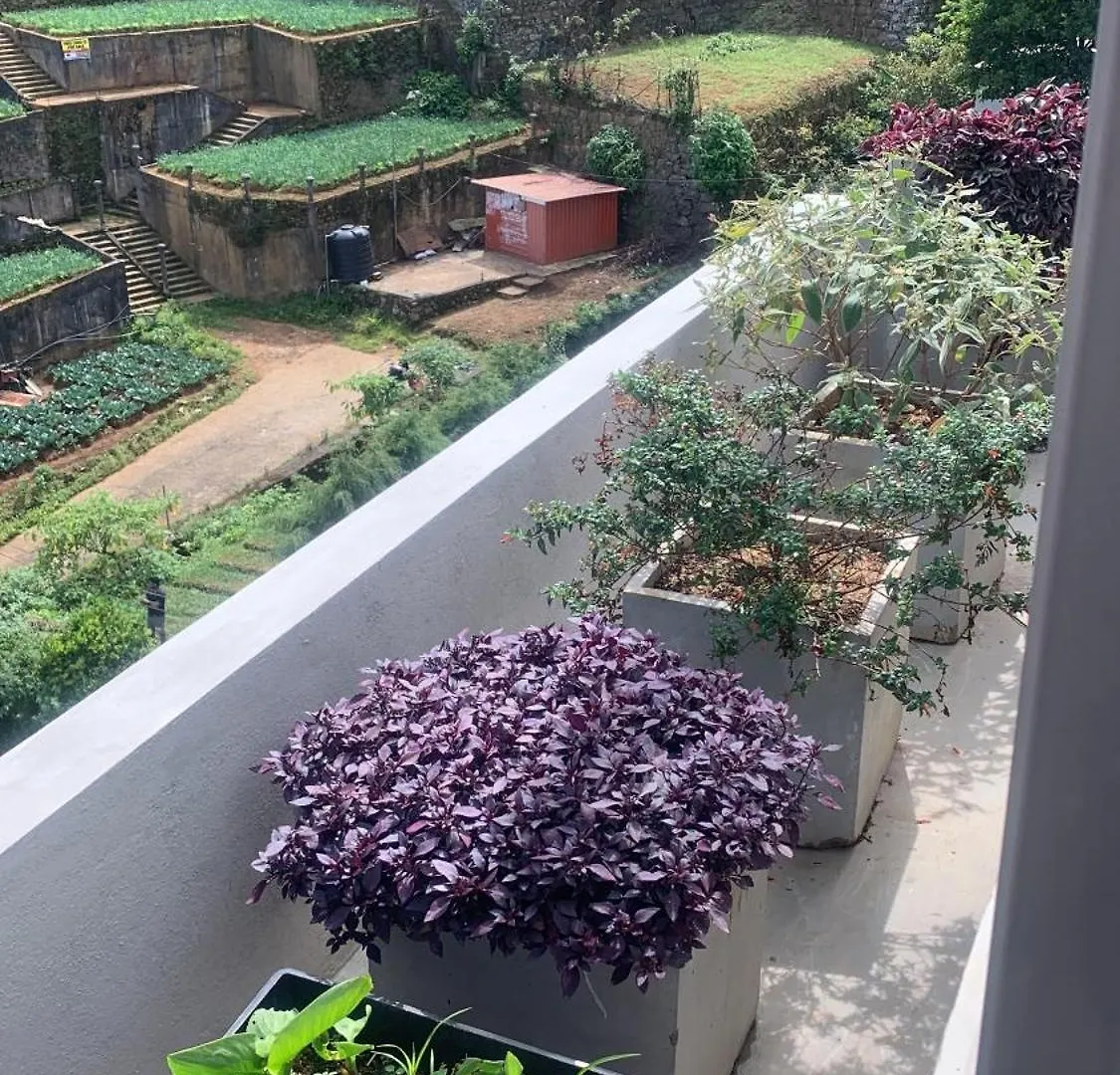 Glenence Bed and Breakfast Nuwara Eliya Sri Lanka